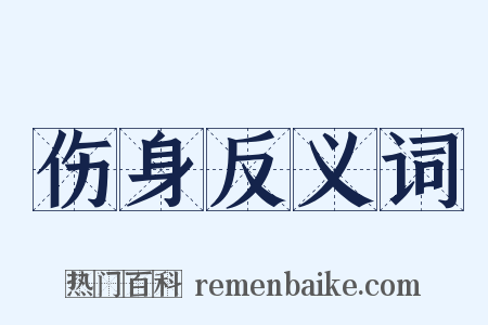 伤身反义词是什么意思的图片